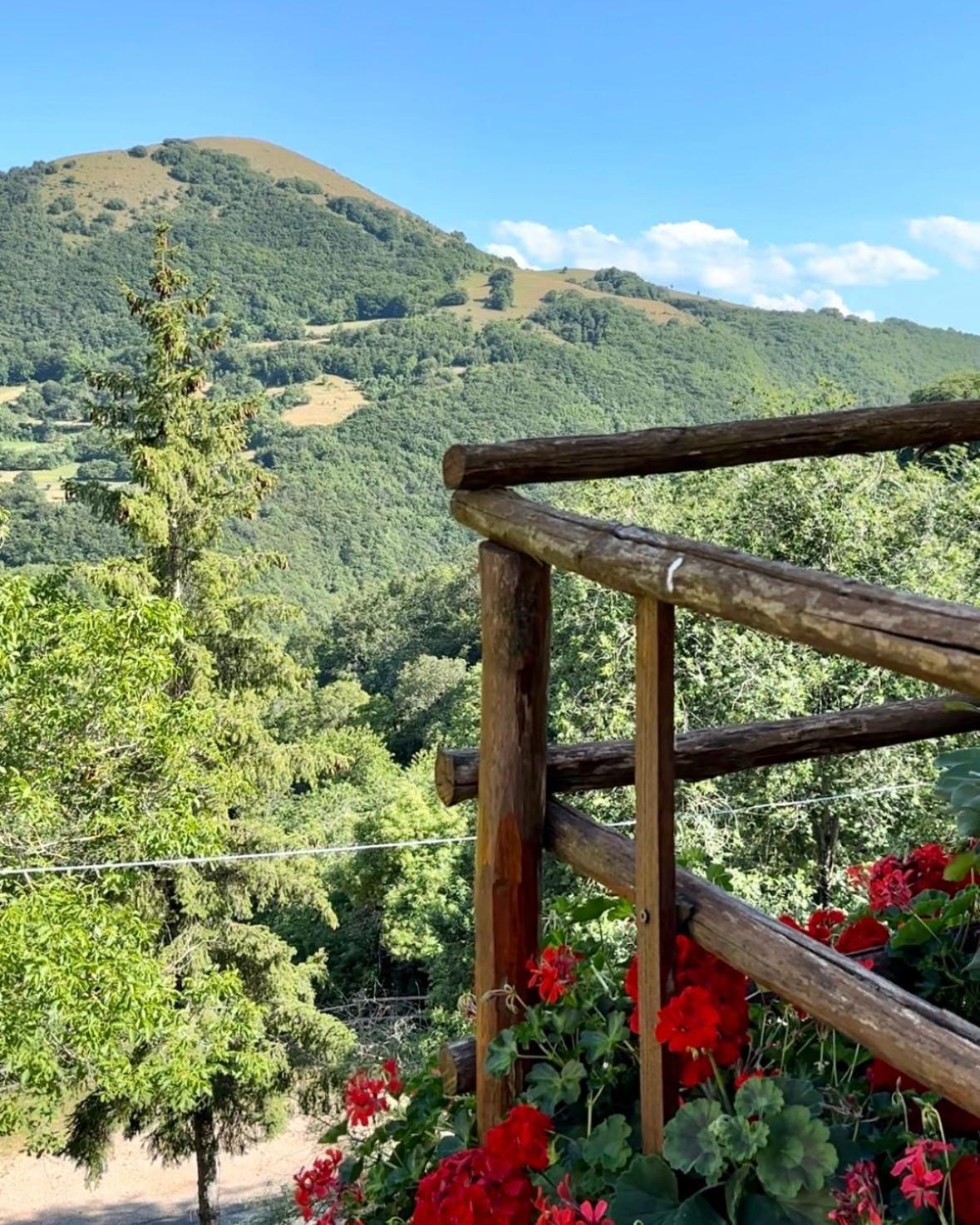 Agriturismo Pettino カンペッロ・スル・クリトゥンノ エクステリア 写真