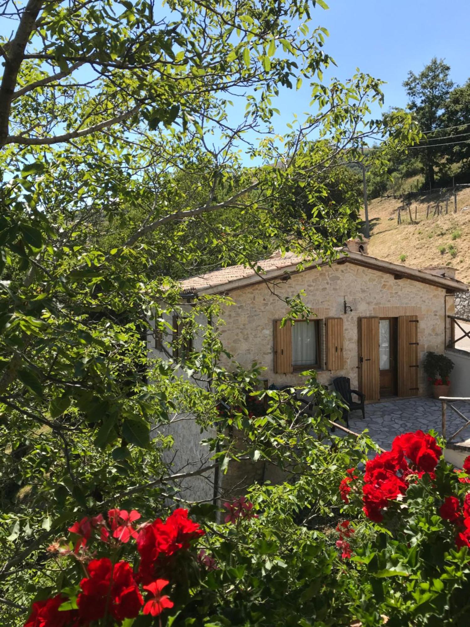 Agriturismo Pettino カンペッロ・スル・クリトゥンノ エクステリア 写真